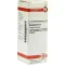 ABROTANUM D 2 Verdunning, 20 ml