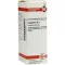 CAMPHORA D 3-verdunning, 20 ml