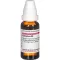 CAMPHORA D 3-verdunning, 20 ml