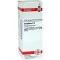 CAMPHORA D 4 verdunning, 20 ml