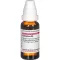 CAMPHORA D 4 verdunning, 20 ml
