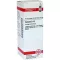 CONIUM D 12 Verdunning, 20 ml