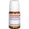 CORALLIUM RUBRUM D 6 tabletten, 80 st