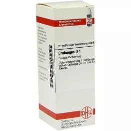 CRATAEGUS D 1 verdunning, 20 ml