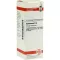 DULCAMARA D 6 Verdunning, 20 ml