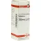 ECHINACEA HAB Moedertinctuur, 20 ml
