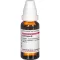 ECHINACEA HAB Moedertinctuur, 20 ml