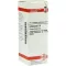 ECHINACEA HAB D 6 Verdunning, 20 ml