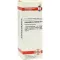 EQUISETUM ARVENSE D 4 verdunning, 20 ml