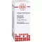 EQUISETUM ARVENSE D 4 verdunning, 20 ml