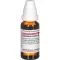 EQUISETUM ARVENSE D 4 verdunning, 20 ml