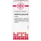 GALPHIMIA GLAUCA D 6 tabletten, 80 st