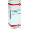 HAMAMELIS D 6 Verdunning, 20 ml