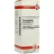 HARPAGOPHYTUM PROCUMBENS D 6 Verdunning, 20 ml
