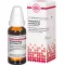 HARPAGOPHYTUM PROCUMBENS D 6 Verdunning, 20 ml