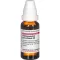 HARPAGOPHYTUM PROCUMBENS D 6 Verdunning, 20 ml