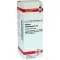 KALIUM CARBONICUM D 12 Verdunning, 20 ml
