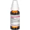KALIUM CARBONICUM D 12 Verdunning, 20 ml
