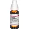 GNAPHALIUM POLYCEPHALUM D 3-verdunning, 20 ml