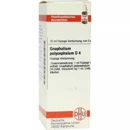 GNAPHALIUM POLYCEPHALUM D 4 verdunning, 20 ml