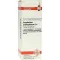 GNAPHALIUM POLYCEPHALUM D 4 verdunning, 20 ml