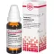 GNAPHALIUM POLYCEPHALUM D 4 verdunning, 20 ml