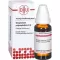 GNAPHALIUM POLYCEPHALUM D 4 verdunning, 20 ml