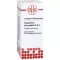 GNAPHALIUM POLYCEPHALUM D 4 verdunning, 20 ml