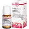 GNAPHALIUM POLYCEPHALUM D 6 tabletten, 80 st