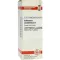 COLLINSONIA CANADENSIS D 2 Verdunning, 20 ml