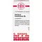 CHININUM ARSENICOSUM D 6 bolletjes, 10 g