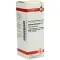 CARDUUS MARIANUS D 1 verdunning, 20 ml