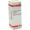 CALENDULA Moedertinctuur, 20 ml