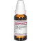 SYZYGIUM JAMBOLANUM Moedertinctuur D 1, 20 ml
