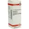 AESCULUS D 6 Verdunning, 20 ml