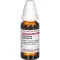 ROSMARINUS OFFICINALIS Moedertinctuur D 1, 20 ml