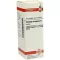 SOLIDAGO VIRGAUREA Moedertinctuur, 20 ml