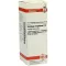 SOLIDAGO VIRGAUREA D 3-verdunning, 20 ml