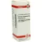 SOLIDAGO VIRGAUREA D 6 Verdunning, 20 ml