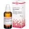 SABAL SERRULATUM Moedertinctuur, 50 ml