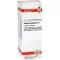SABAL SERRULATUM D 1 verdunning, 20 ml