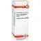 SALVIA OFFICINALIS Moedertinctuur, 20 ml