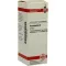 HAMAMELIS Moedertinctuur, 20 ml