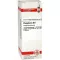 PHOSPHORUS D 8 Verdunning, 20 ml