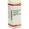PETROSELINUM D 6 Verdunning, 20 ml