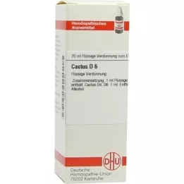 CACTUS D 6 Verdunning, 20 ml