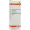 CACTUS D 6 Verdunning, 20 ml
