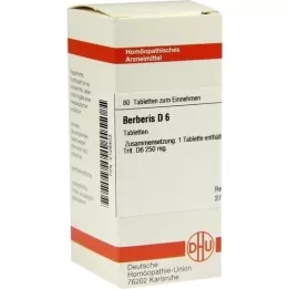 BERBERIS D 6 tabletten, 80 st