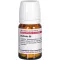 BERBERIS D 6 tabletten, 80 st