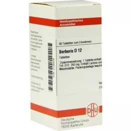 BERBERIS D 12 tabletten, 80 st